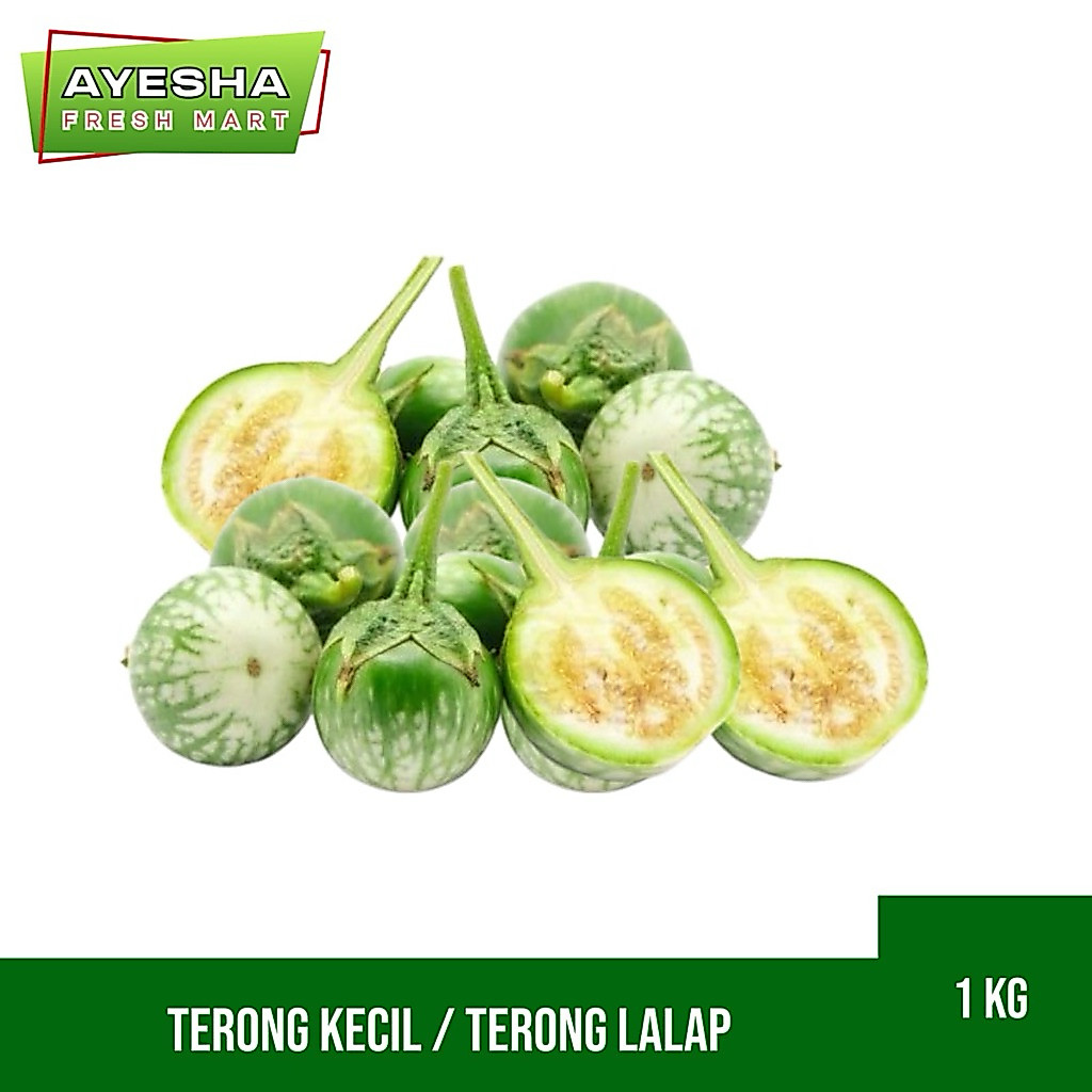 Terong Bulat / terong lalap