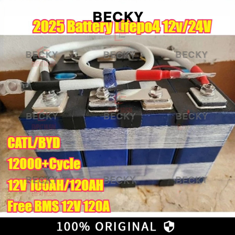BECKY CATL/BYD Battery Lifepo4 Battery Lifepo4 12v/24V 100ah /120AH plus BMS