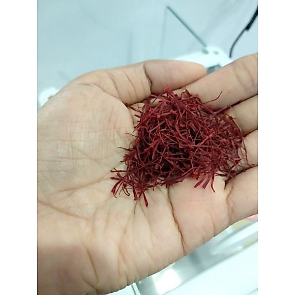 Bunga Shaffron shafron saffron safron isi 50 helai super negin dari Afganistan