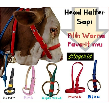 HALTER SAPI ,KAMBING (WARNA) / BRANGUS SAPI - TERSEDIA UKURAN S, M, L, XL