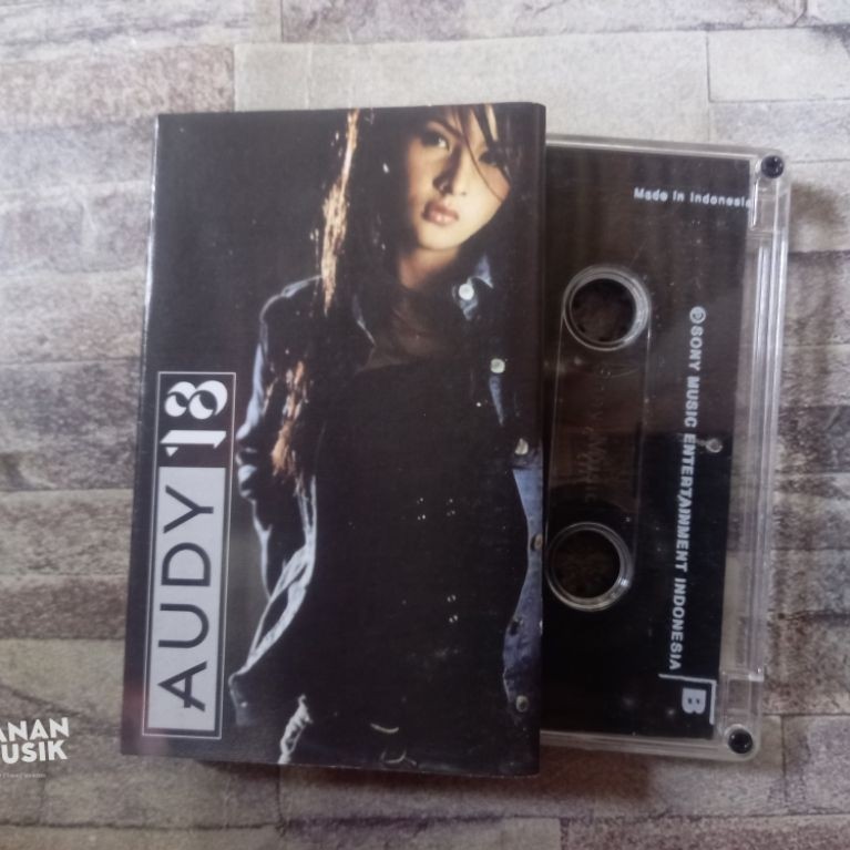 Kaset Audy (18)