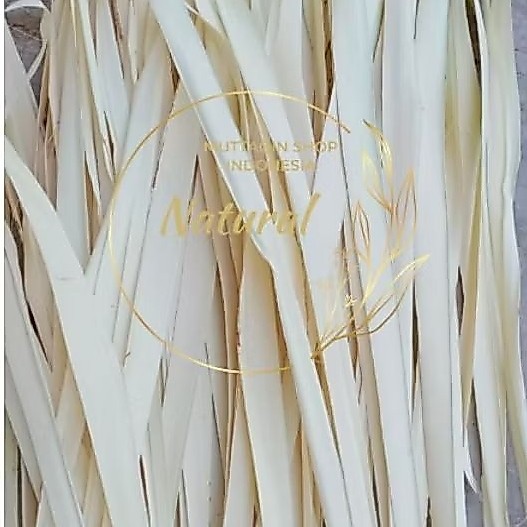 DAUN MUDA SIWALAN / LONTAR / ENTAL LEBAR FULL TANPA LIDI