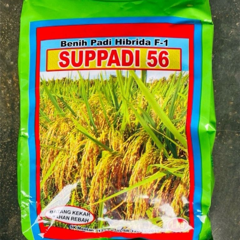 Bibit Benih Padi Hibrida F1 Supadi 56 1kg - Original