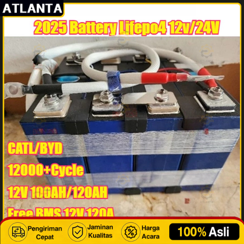 CATL/BYD Battery Lifepo4 Battery Lifepo4 12v/24V 100ah /120AH plus BMS