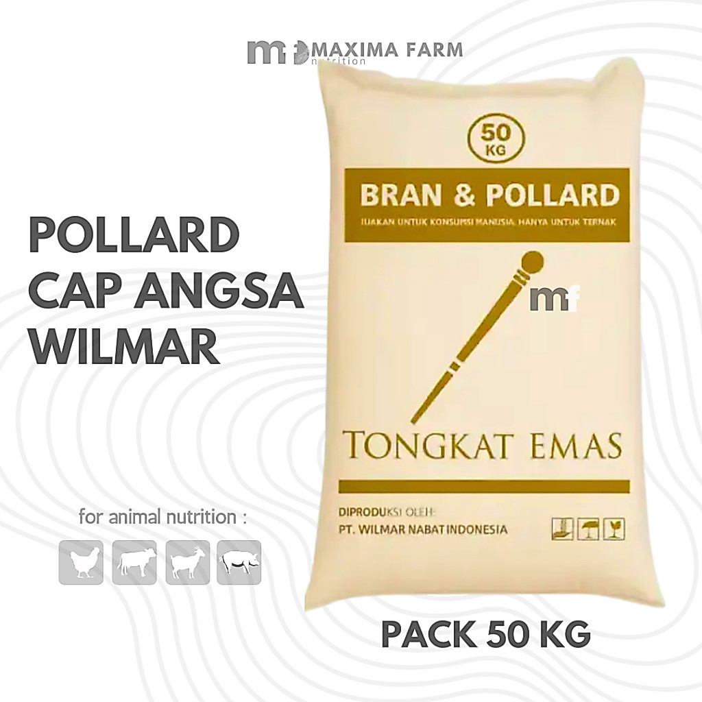 POLAR POLLARD 50kg 1ZAK GANDUM CAP TONGKAT BUKAN CAP ANGSA