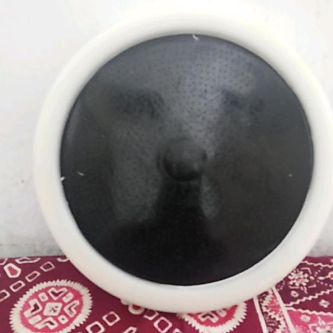 NEW Diffuser Fine Bubble - Fine Bubble Air Hitam
