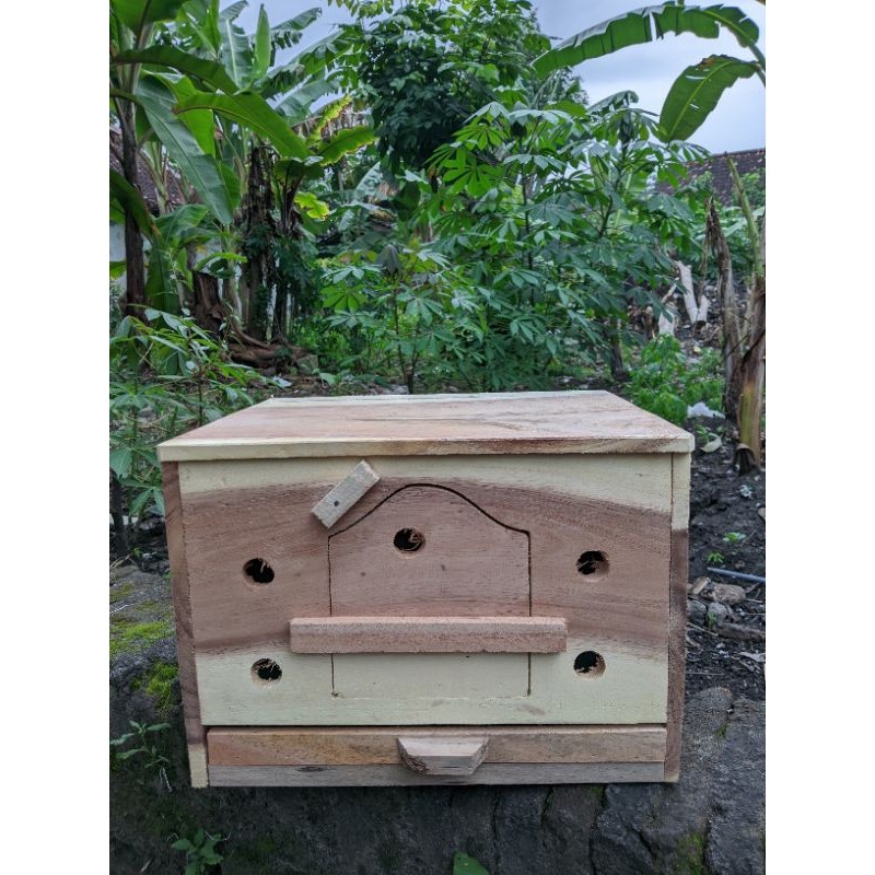 Ready Stok Gupon Motif Paten Gupon Burung Merpati Burung Dara
