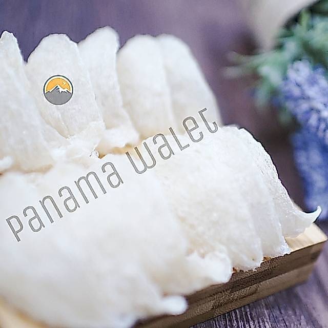 Sarang Burung Walet Premium Patahan Besar 50 Gram