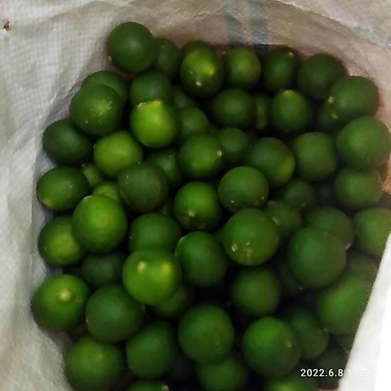 Jeruk Nipis 500gr Jeruk Nipis Pilihan Bagus
