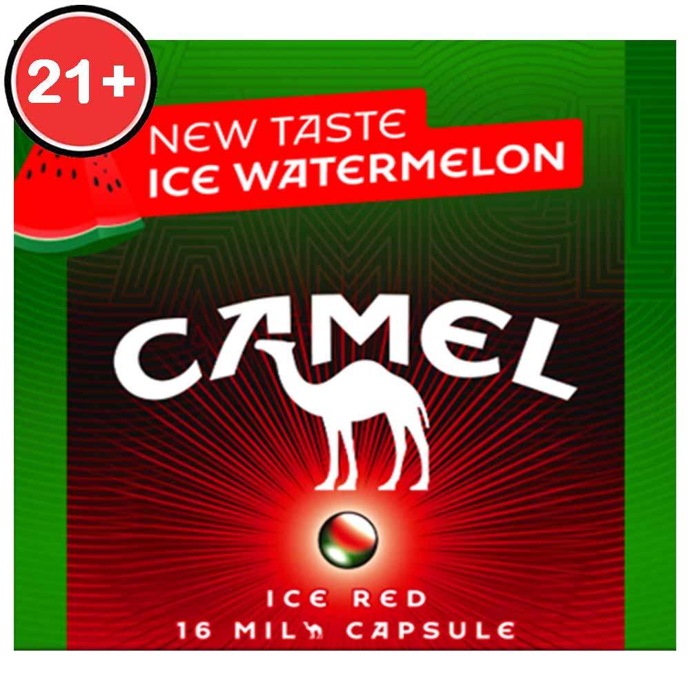 CAMEL ROKOK FILTER ICE RED 16'S