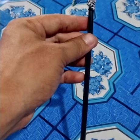 Stik Cermin Melatih Mental Cupang