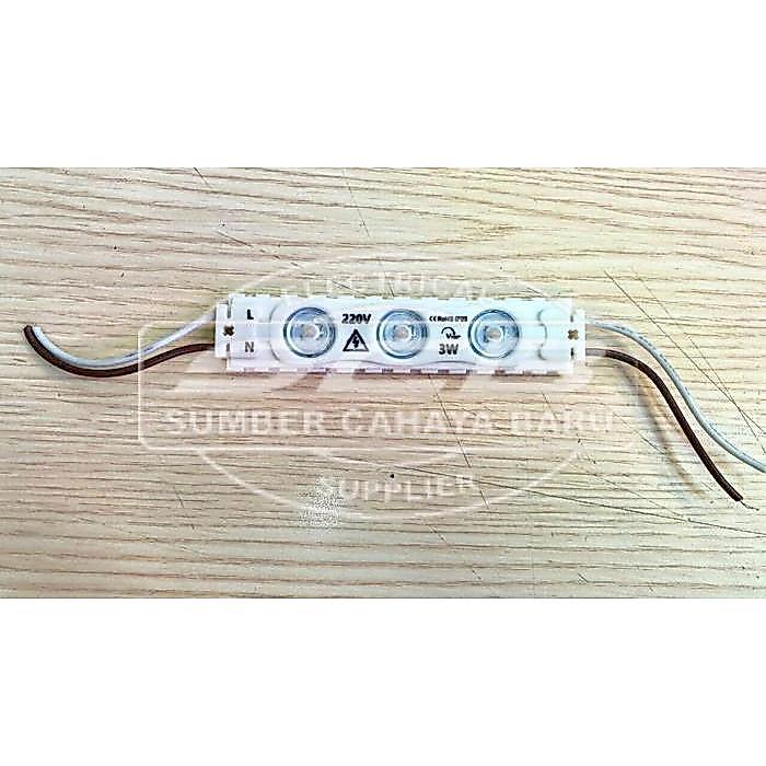 LED Modul 3 Mata 3 Watt 220 V AC Pilihan Warna Putih dan Warm White