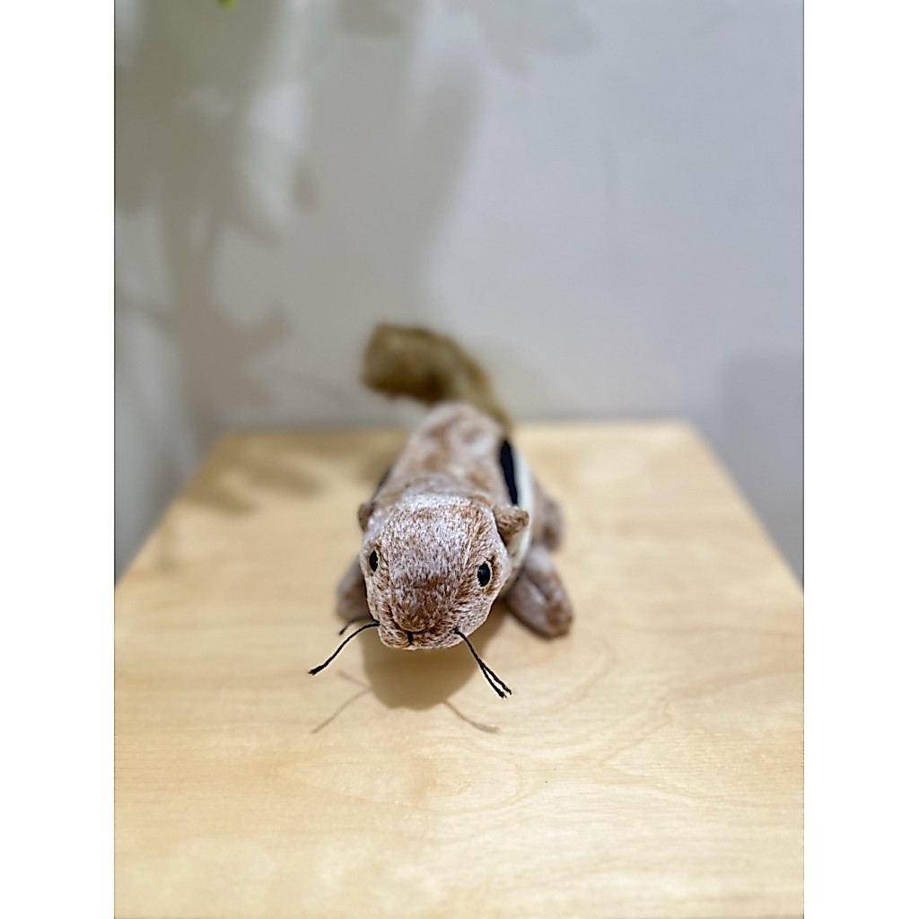 Boneka TY sigung beanie babies