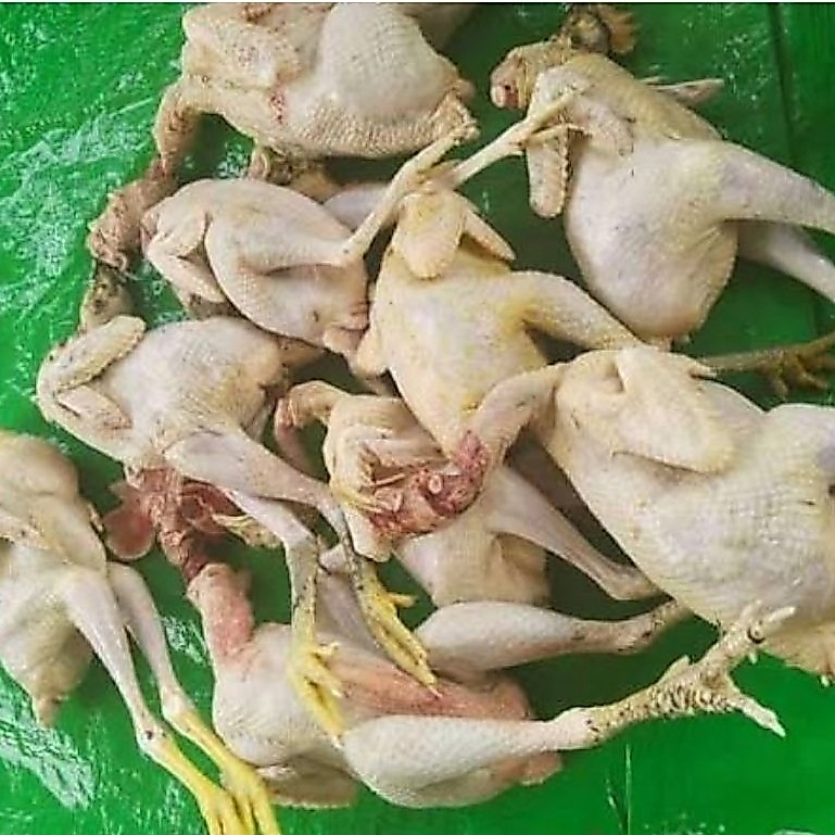 Ayam kampung/1kg