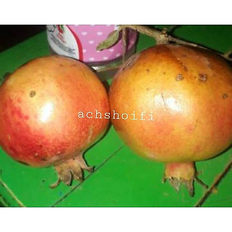 buah delima merah lokal 1kg