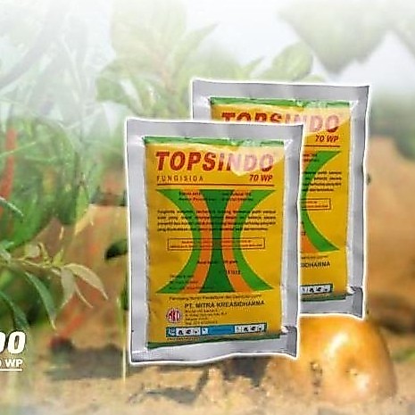` TOPSINDO 70 WP Fungisida Protektif Pembasmi Penyakit Jamur/500 gram