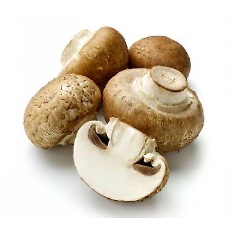 Jamur Kancing Organik 250g