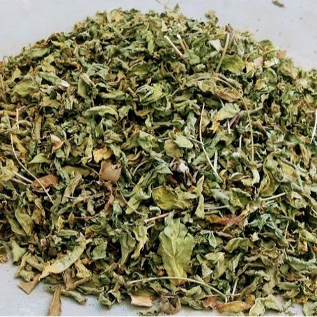 DAUN KATUK KERING 100 GRAM DAUN KATUK BANYAK MANFAAT - 50 GR