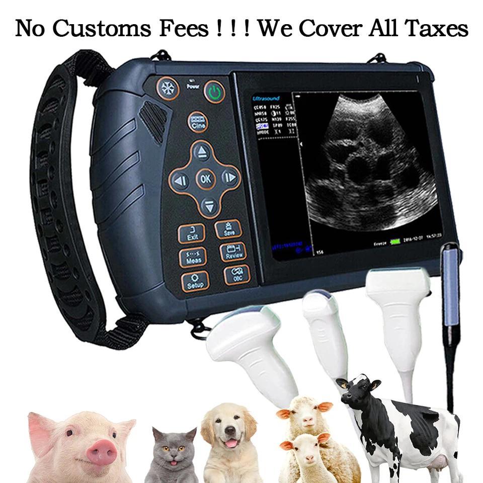 Alat USG Hewan Portabel Mesin Ultrasonografi Alat Cek Kehamilan Ternak Babi Kambing Sapi Anjing