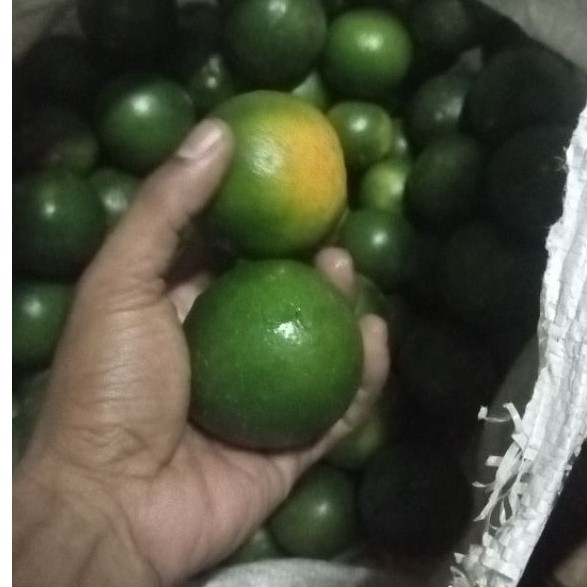 jeruk peras/ jeruk es