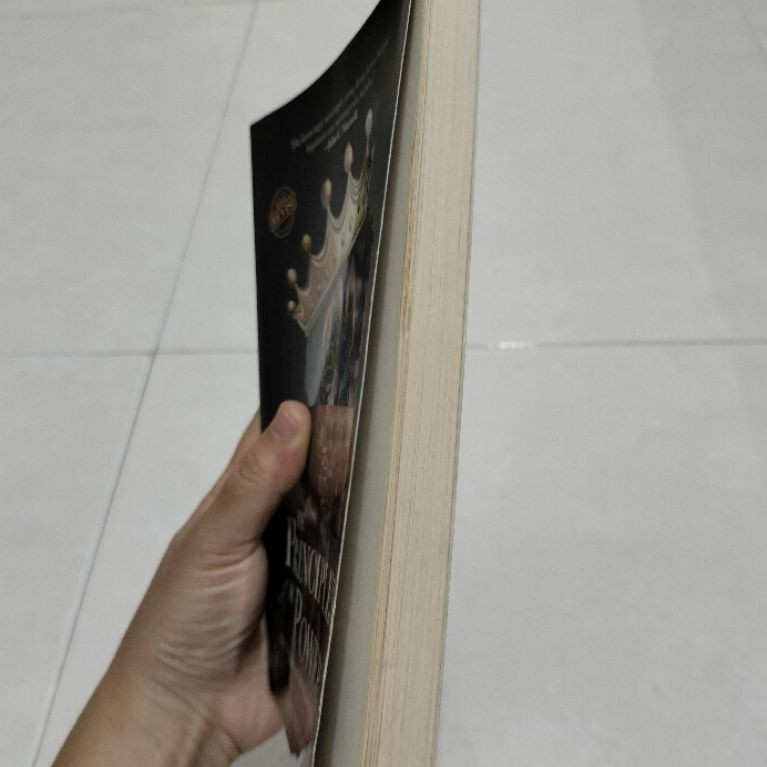 Preloved "The Principles of Power" by Dion Yulianto