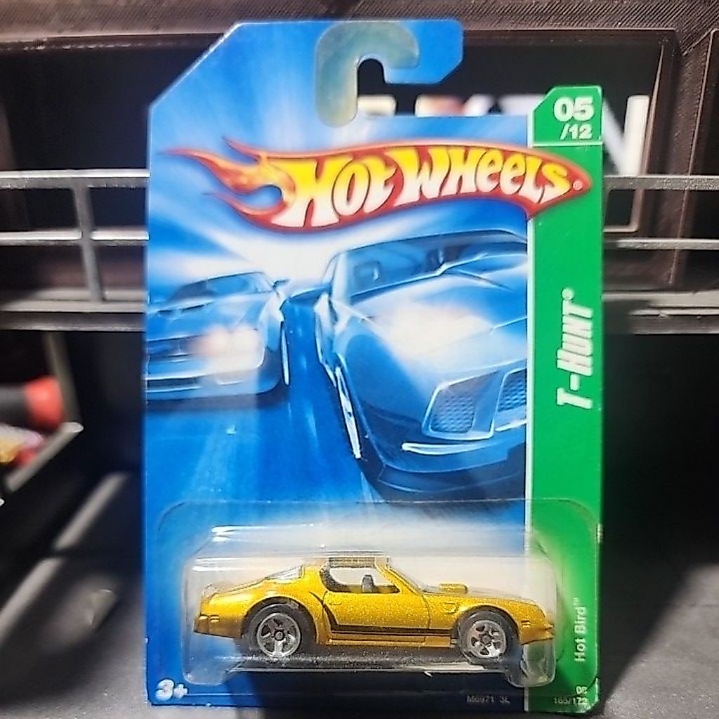 Hot Wheels Hot Bird T Hunt reg