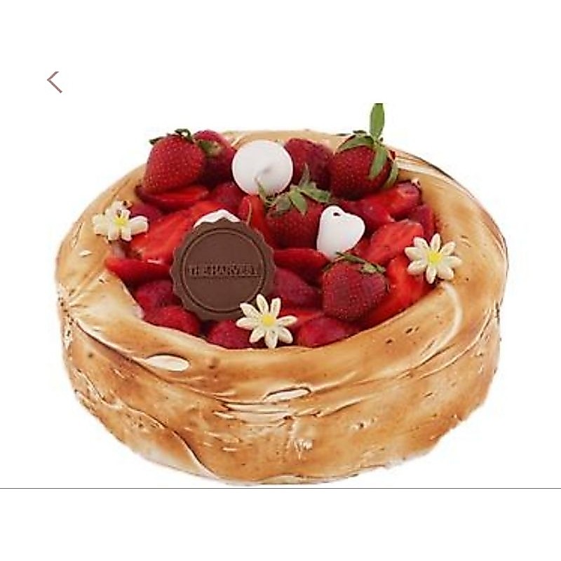The Harvest Stawberry Cheesecake D20 / 20x10