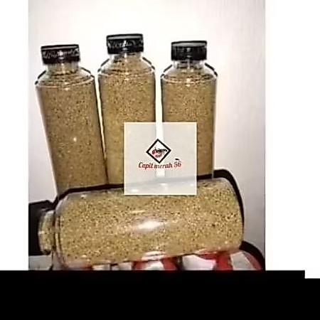 pelet/pakan tinggi protein lobster air tawar super ORIGINAL platinum fengli 3L
