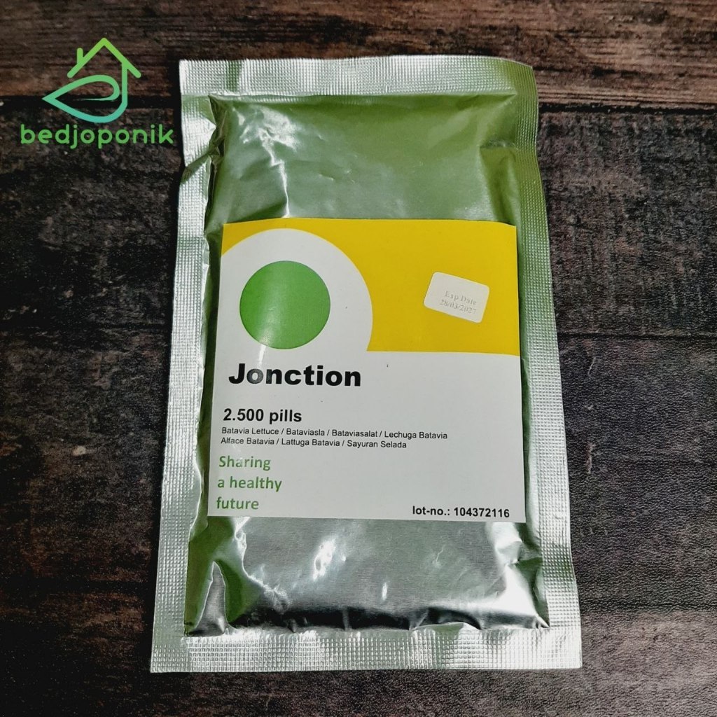 Benih Selada RZ JONCTION 2500 pills Original F1 Benih Selada Batavia