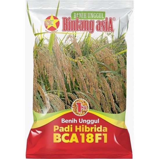 Benih Padi Hibrida BCA 18 F1 1 kg Bintang Asia
