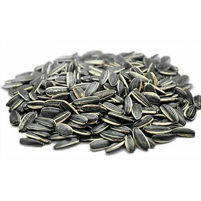"New" 1KG Kuaci Rebo Kiloan / Kuaci Matahari 2 Varian Rasa (Susu / Original)