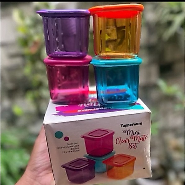 mini Clear mate tupperware