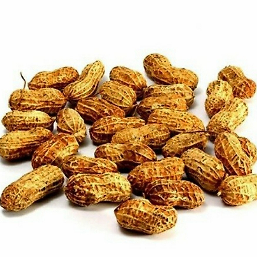 Kacang Tanah Kulit Mentah