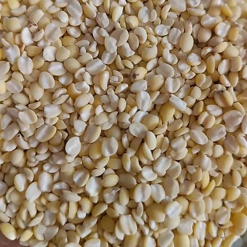 Biji Jali Jali (±500gr) Pearl Barley / iu bi / Jelai / Barley Holland / Biji Jali Lokal / Biji Hanje