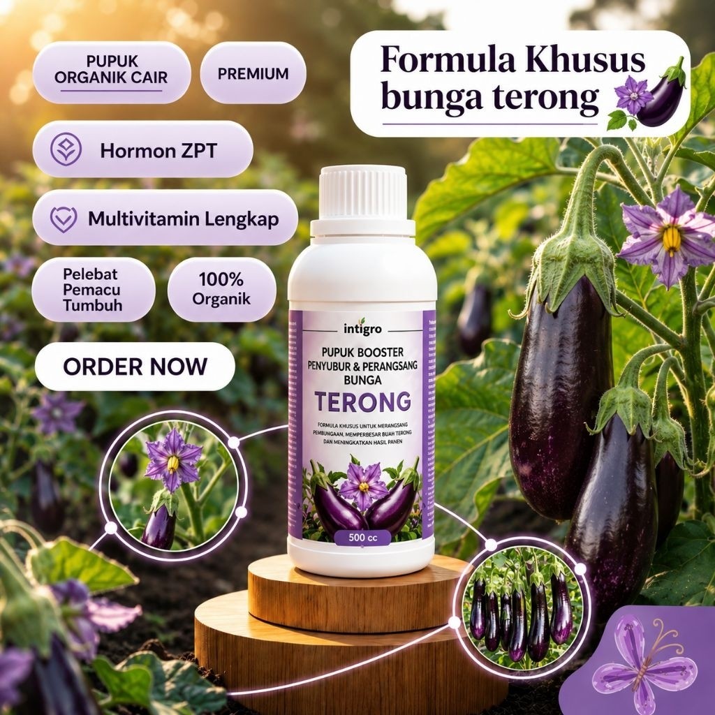 BOOSTER TERONG 500 cc- Pupuk organik Cair dan ZPT Khusus tanaman TERONG & Pelebat TERONG