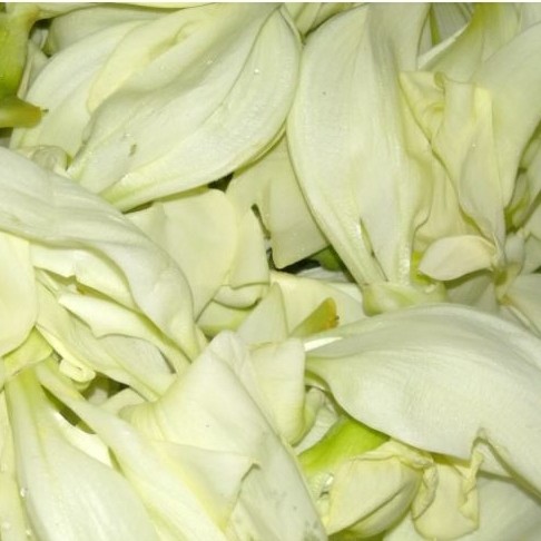 Bunga Kembang Turi sayur segar