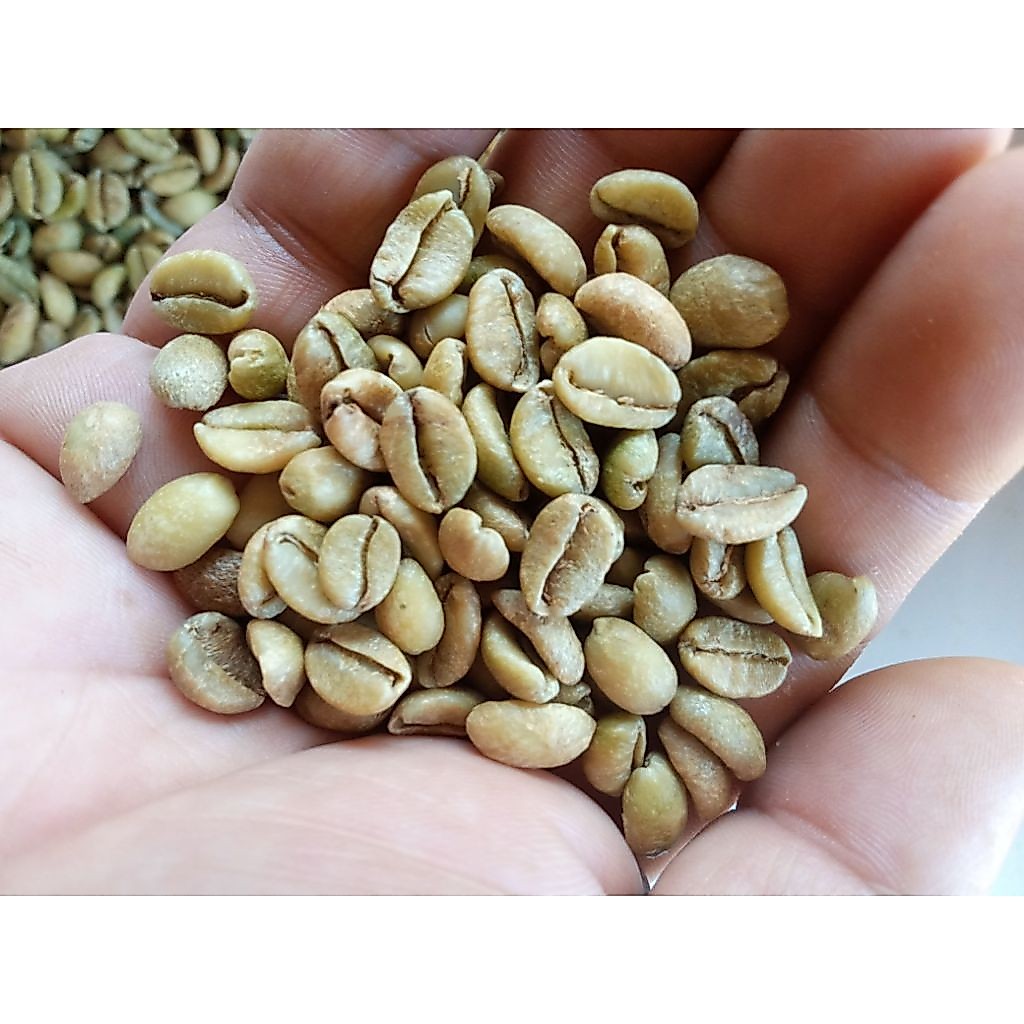NEW kopi liberika/kopi nongko premium