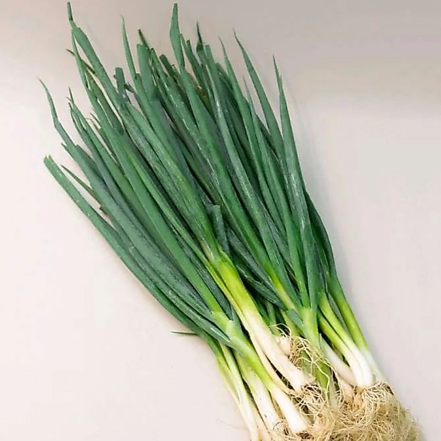 bawang daun 1 kg