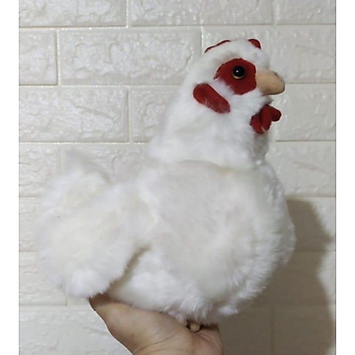 Boneka Ayam Brahma