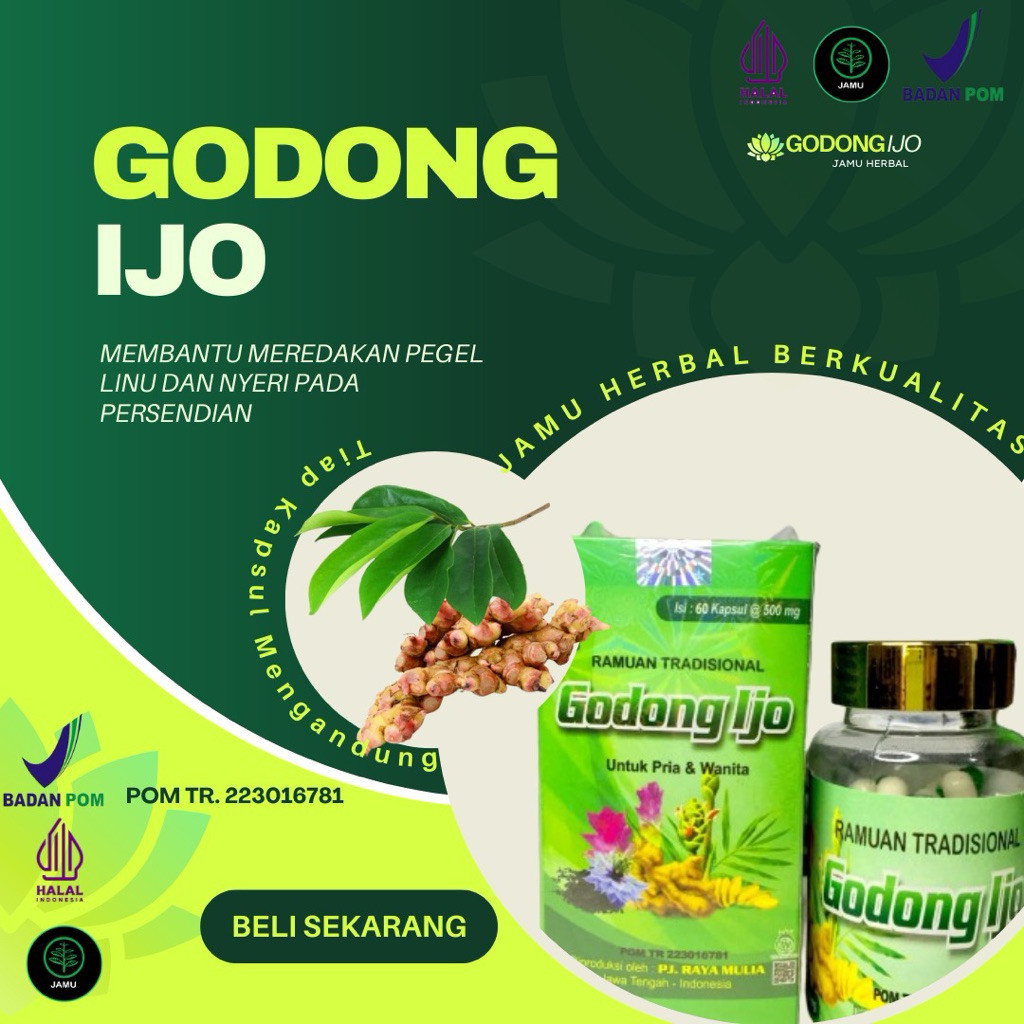 Paling banyak di cari Obat Herbal Saraf Kejepit Jamu Asam Urat Pegal Linu Kapsul Godong Ijo Nyeri Se