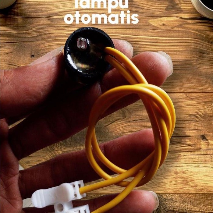 Sensor Photocell Fotocell 220V Saklar Otomatis Siang Malam sensor lampu LDR sensor cahaya *