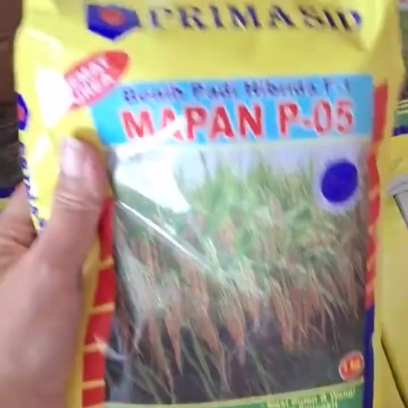 Benih Padi Bibit Mapan p05 Primasid Mapan 05 Hibrida 1kg