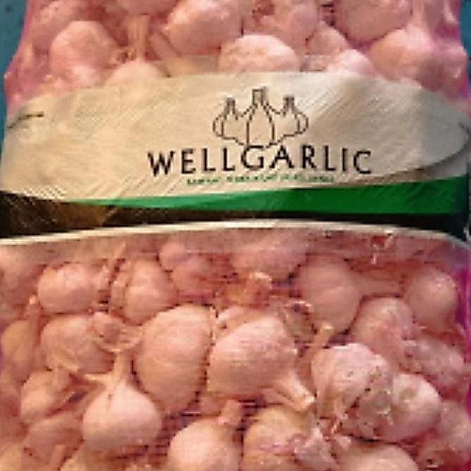 bawang putih kating 20kg VS