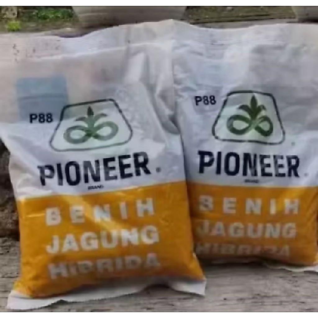 BENIH JAGUNG HIBRIDA PIONEER P88 TENTRAM KEMASAN 1KG ORIGINAL