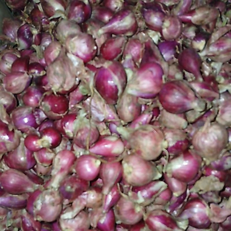 bawang merah besar 1kg