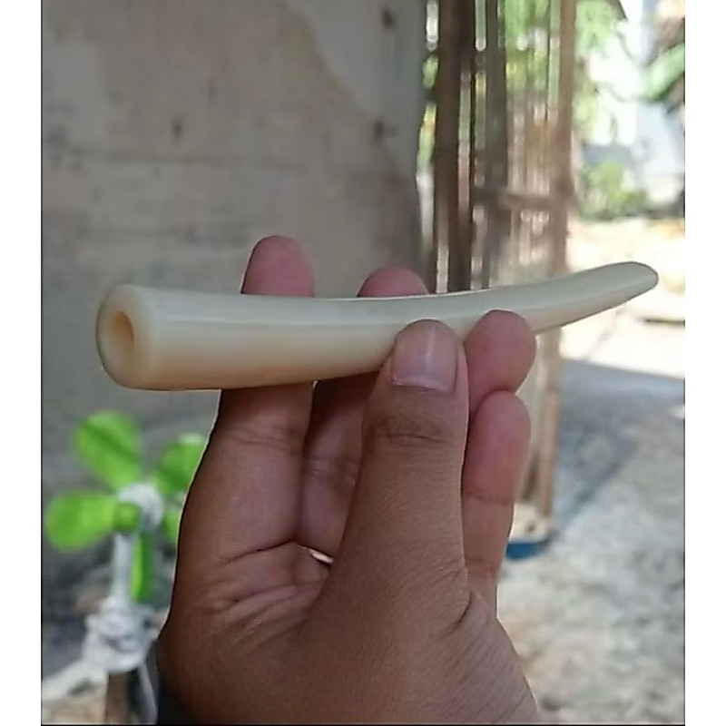 pipa tulang sapi once tulsap kualitas setara sama iga ikan duyung harga termurah