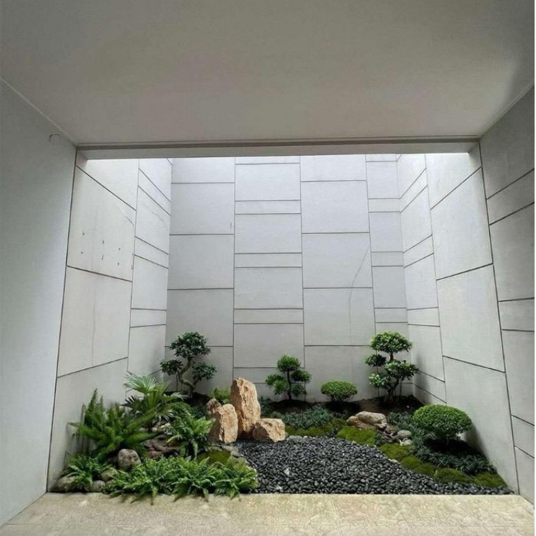 taman kering bunga hias bonsai belakang rumah batu