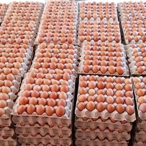 [SEGAR] Telur Ayam Fresh Berkualitas Murah Setiap Hari - 1kg   | telor ras negeri intalu negri hinta