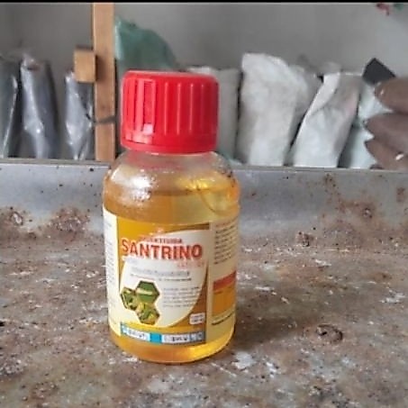 Insektisida Santrino 350 EC 100 ml