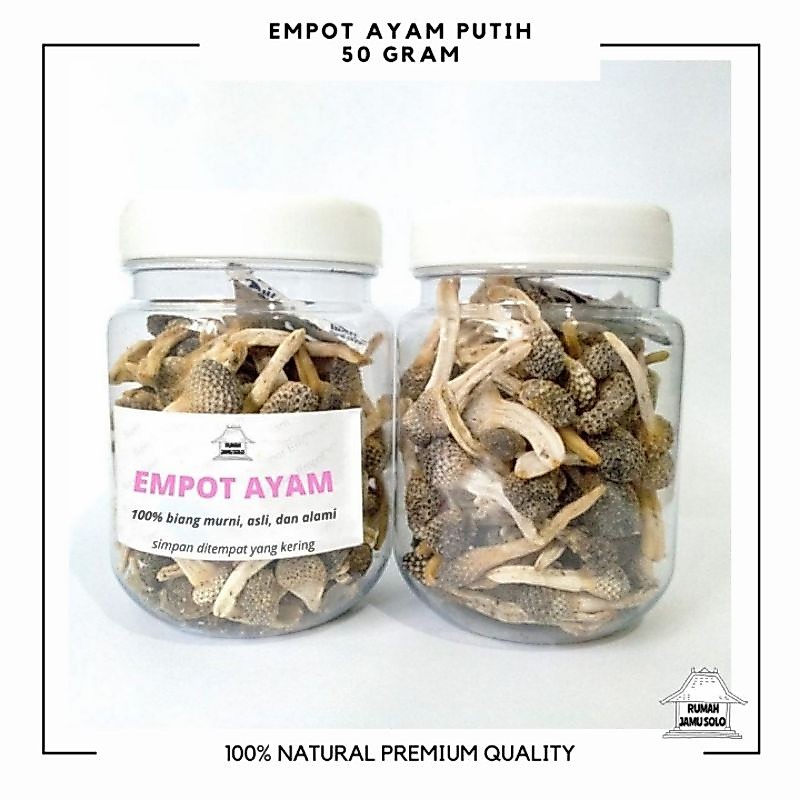 50 gram empot ayam mpot ayam putih/hitam biang super isi (-+400 putih) (-+120 hitam)